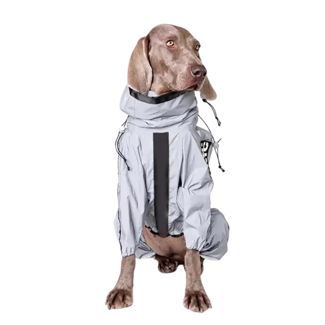 Reflective Space Coat