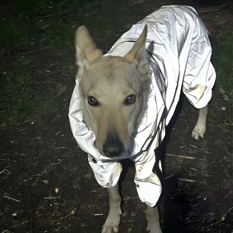 Reflective Space Coat