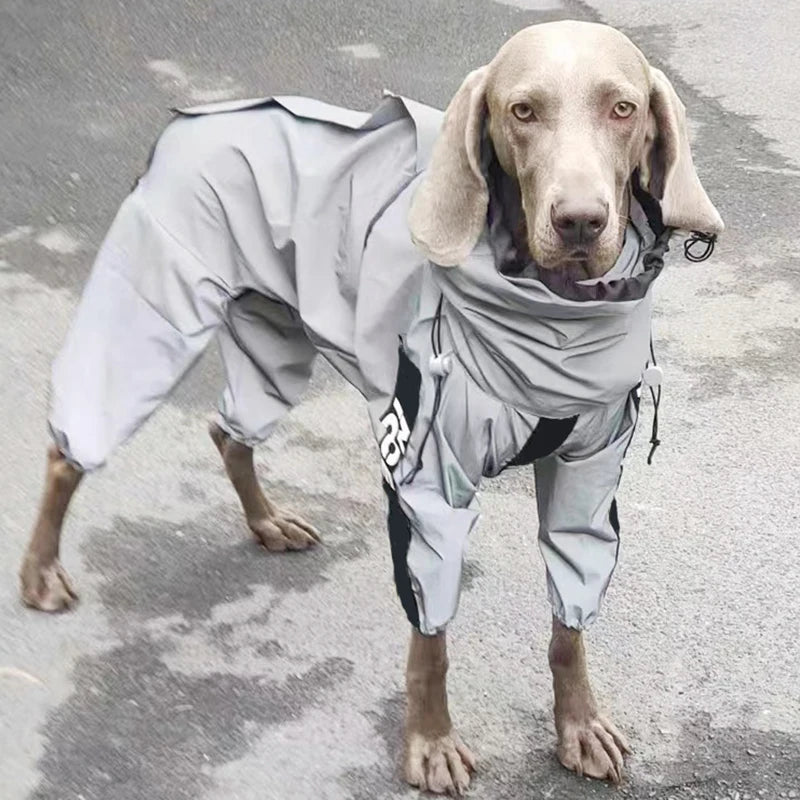 Reflective Space Coat