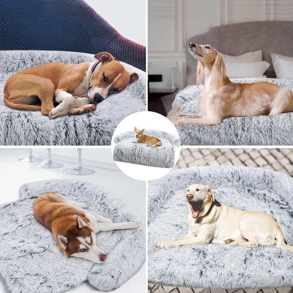 Anxiety Relief Dog Bed