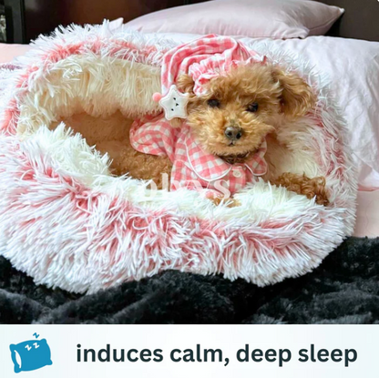 Cozy Snuggle Bed