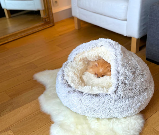 Cozy Snuggle Bed